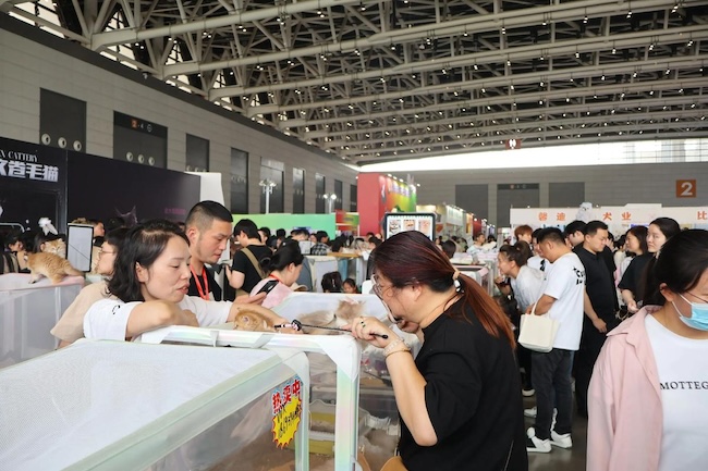 2025上海亞洲寵物展展商名錄如何預(yù)訂